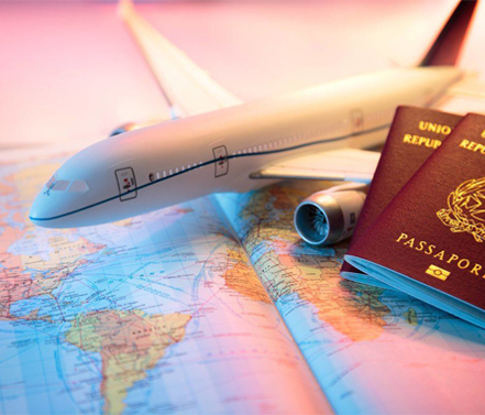 Immigration consultancy